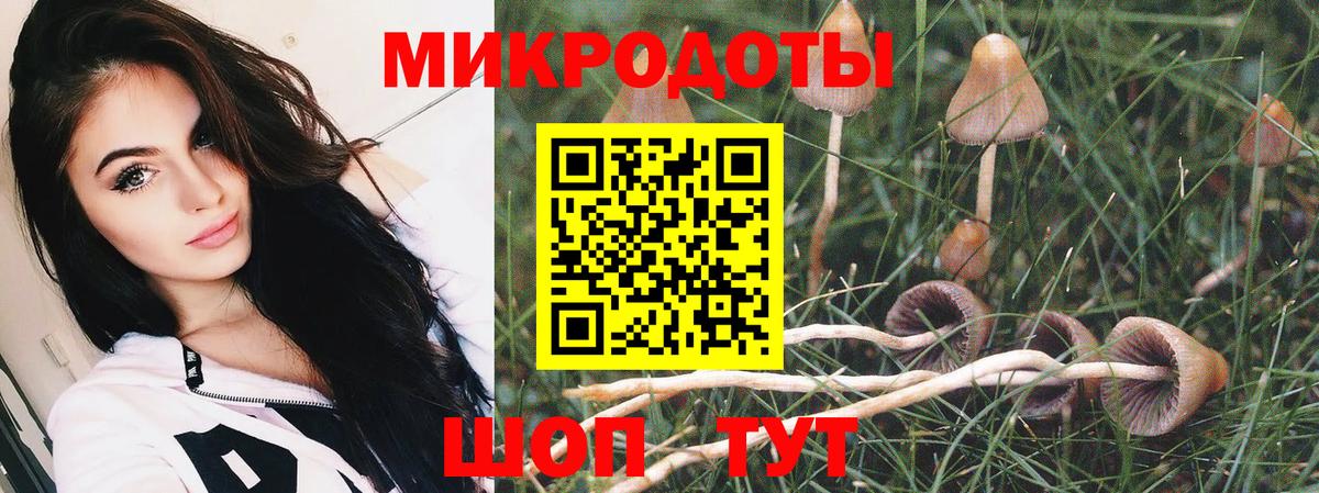 Псилоцибиновые грибы Psilocybe  Вход с VPN  Сертолово 